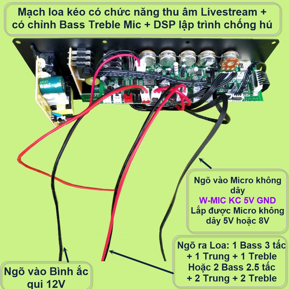 Mạch loa kéo CS8673E 130W, thu âm LIVESTREAM, DSP lập trình chống hú có chỉnh Bass Treble Micro, nguồn xung