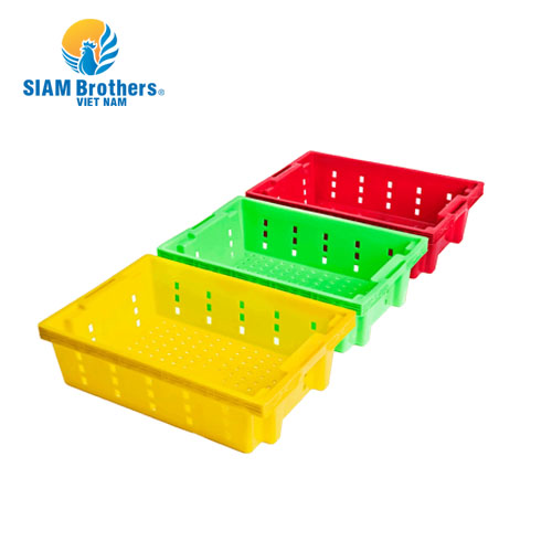 Khay nhựa trồng rau/khay nhựa đựng cá siêu bền Siam Brothers - Xanh