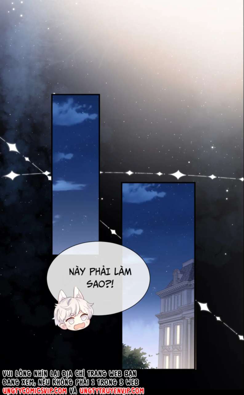 xin hãy ly hôn chapter 85 36