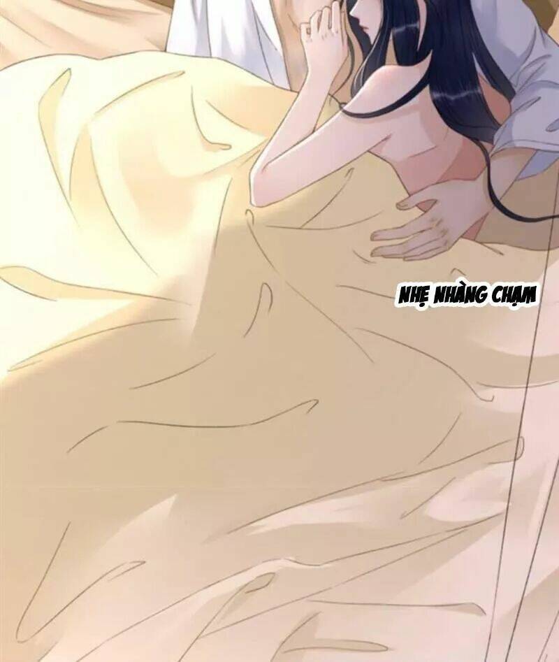 sủng phi của vương chapter 142 4