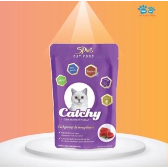 Combo 10 và 20 gói Pate Catchy 5plus dành cho mèo cưng dạng gói 70g nhiều vị hàng việt nam chất lượng cao