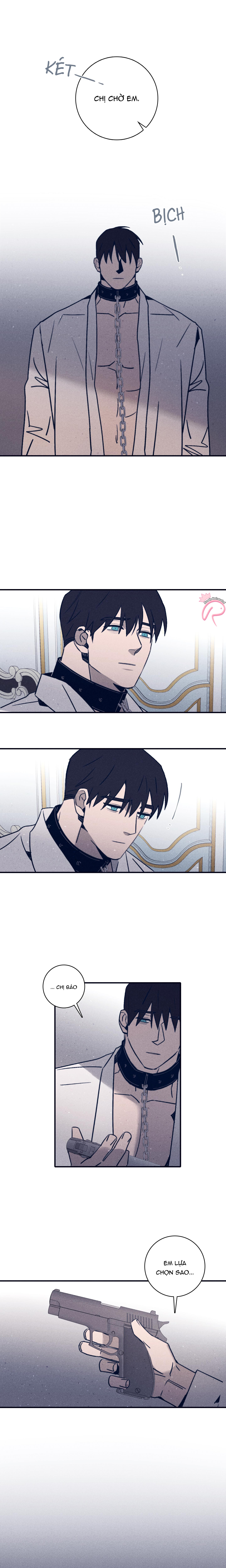 độc dược (marcel) chapter 53 5