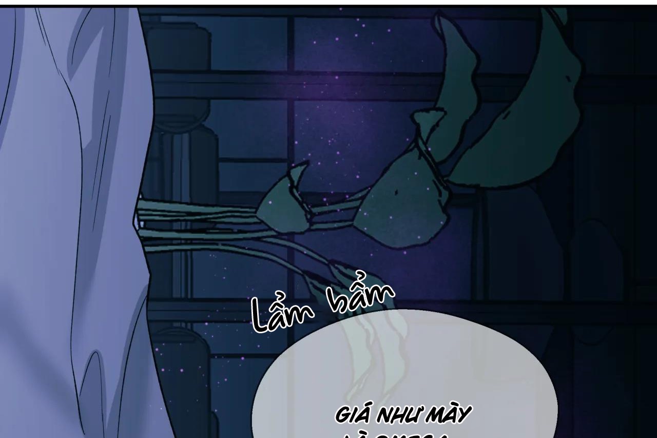 ám ảnh pheromone chapter 53 71