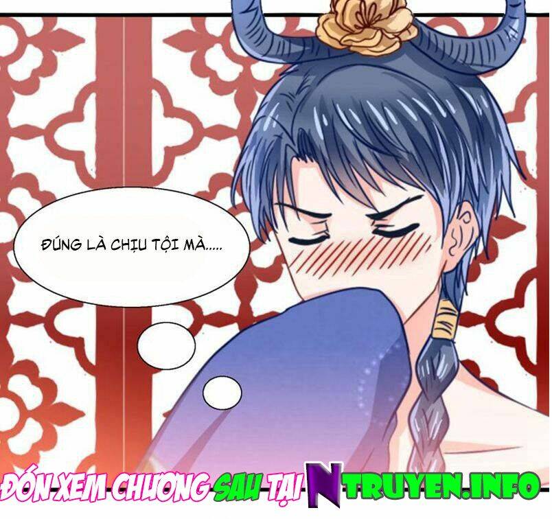 tôi bị gấu trúc nhìn trúng rồi chapter 25 25