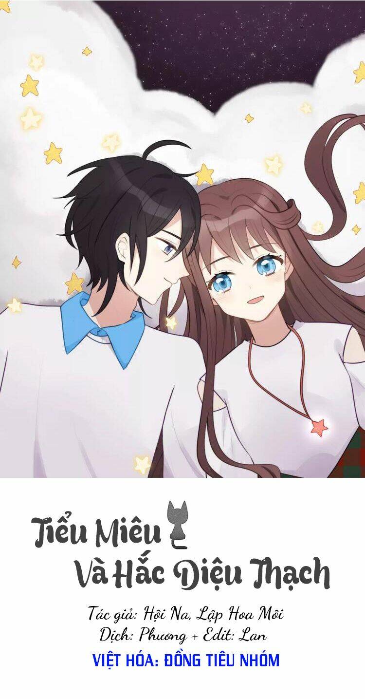 tiểu miêu và hắc diệu thạch chapter 6 1