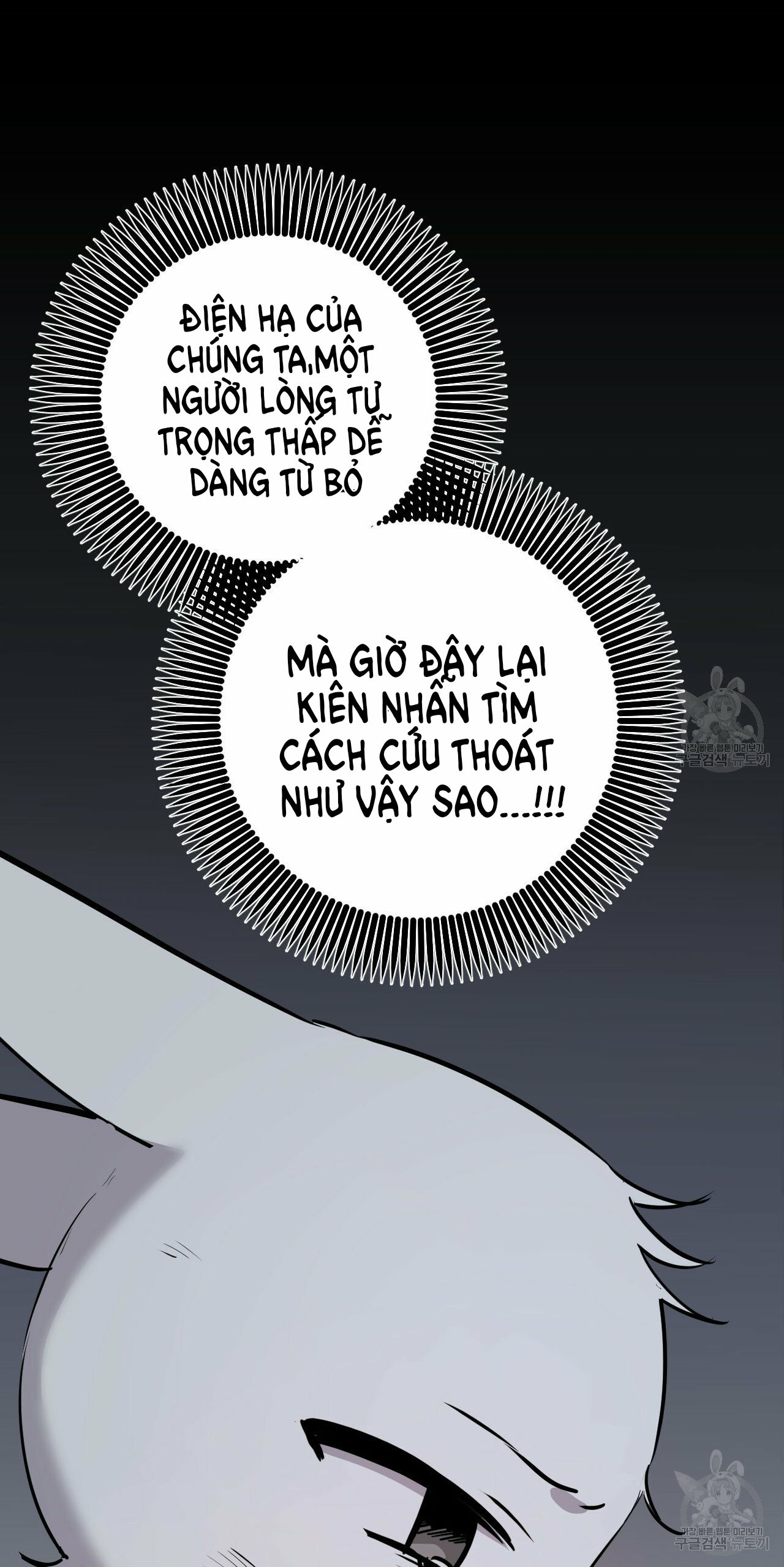 những chú thỏ của hapypy chapter 46 29