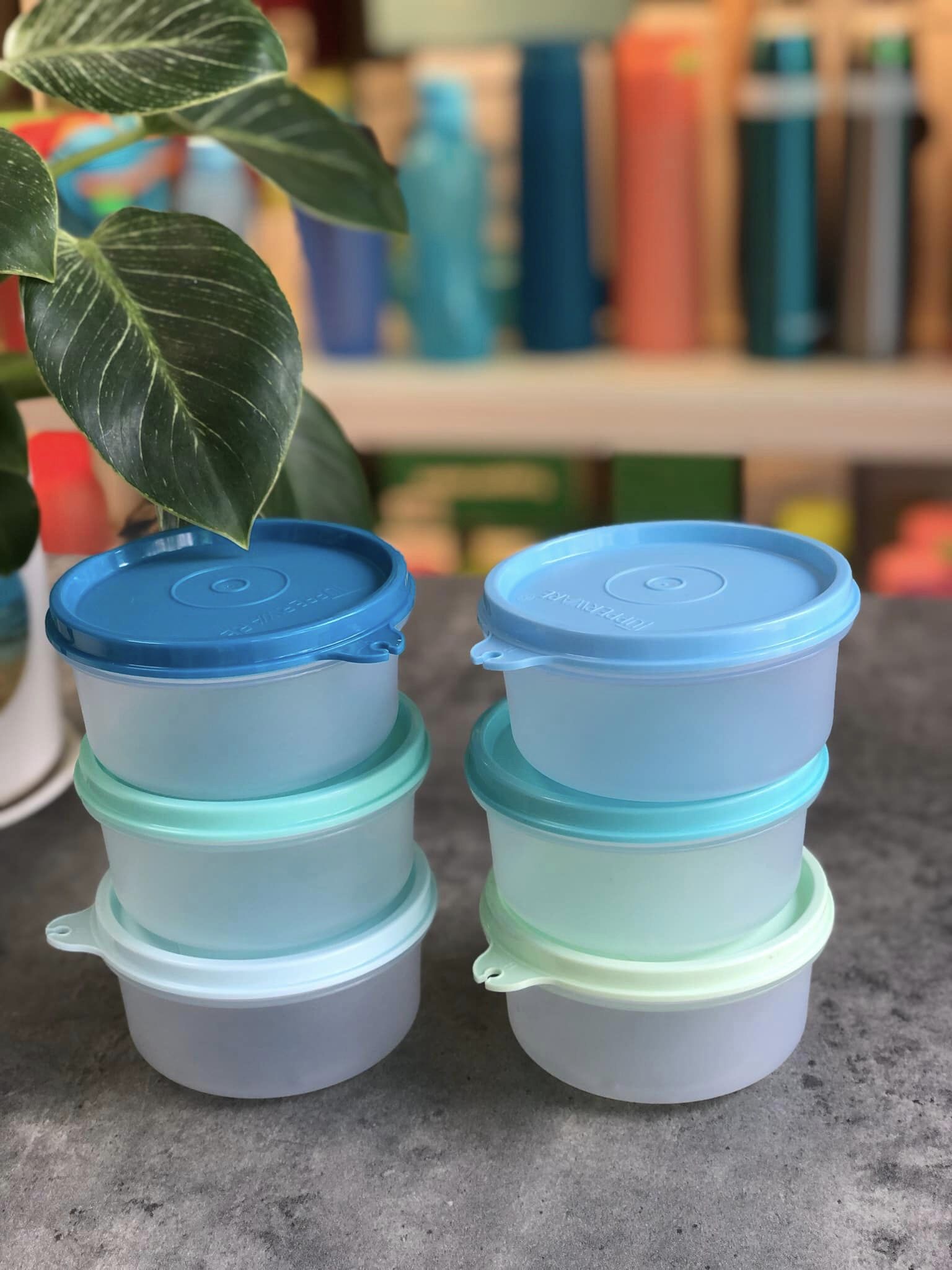 Bộ hộp BQTP Pastel Small Server 200ml TUPPERWARE HÀNG CHÍNH HÃNG
