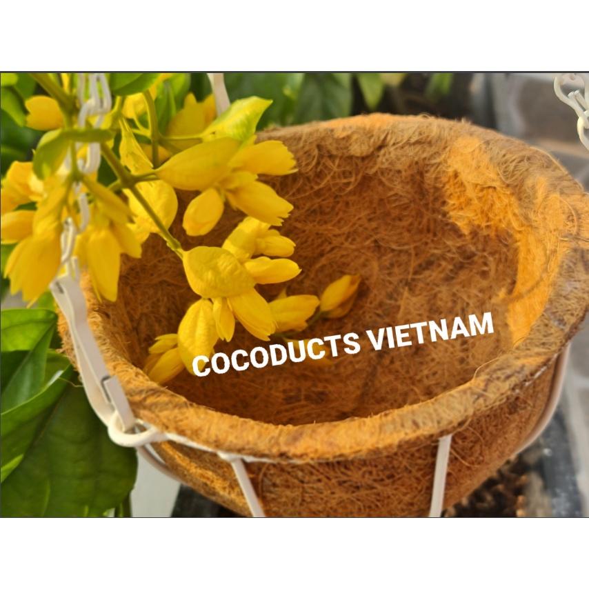 Chậu treo xơ dừa mini