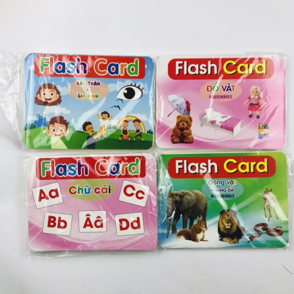 Bộ Thẻ Học Thông Minh 19 Chủ Đề loại TO song ngữ chuẩn Glenn Doman Flashcard cho bé từ 0-6 tuổi