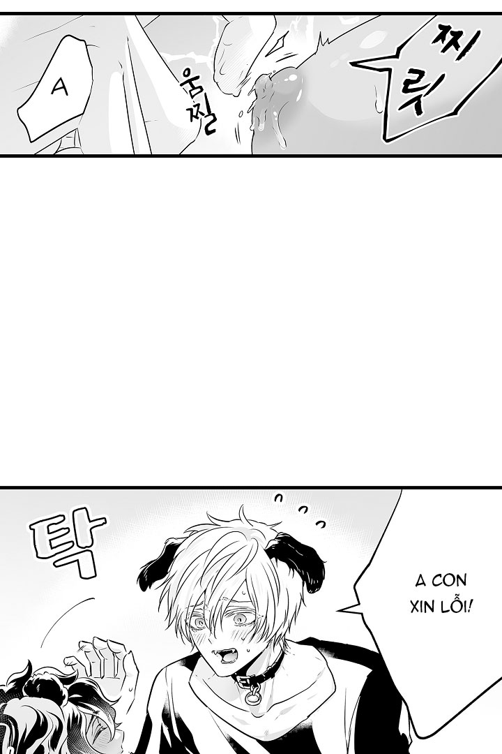 gấu ngủ đông chapter 11.1 5