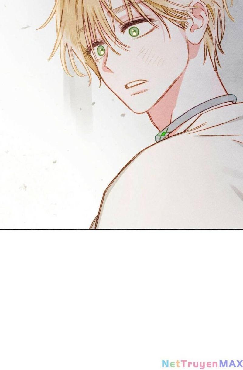 nuôi dưỡng một hắc long chapter 68.2 9