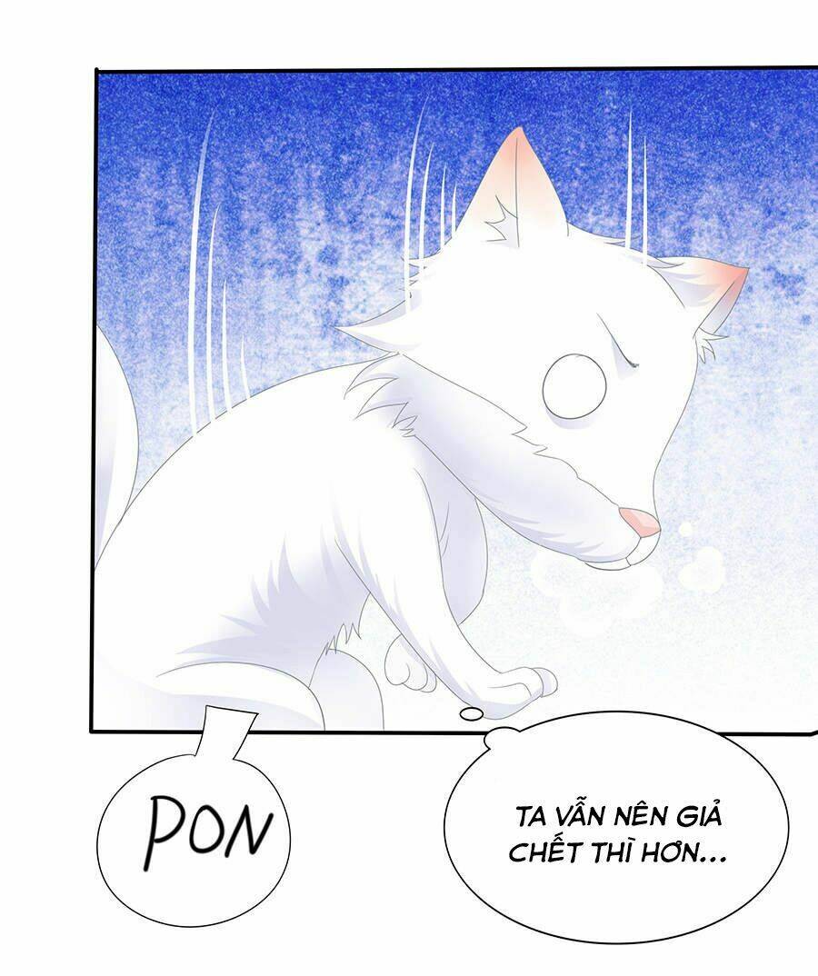 vương phi lại hạ độc rồi chapter 11 28