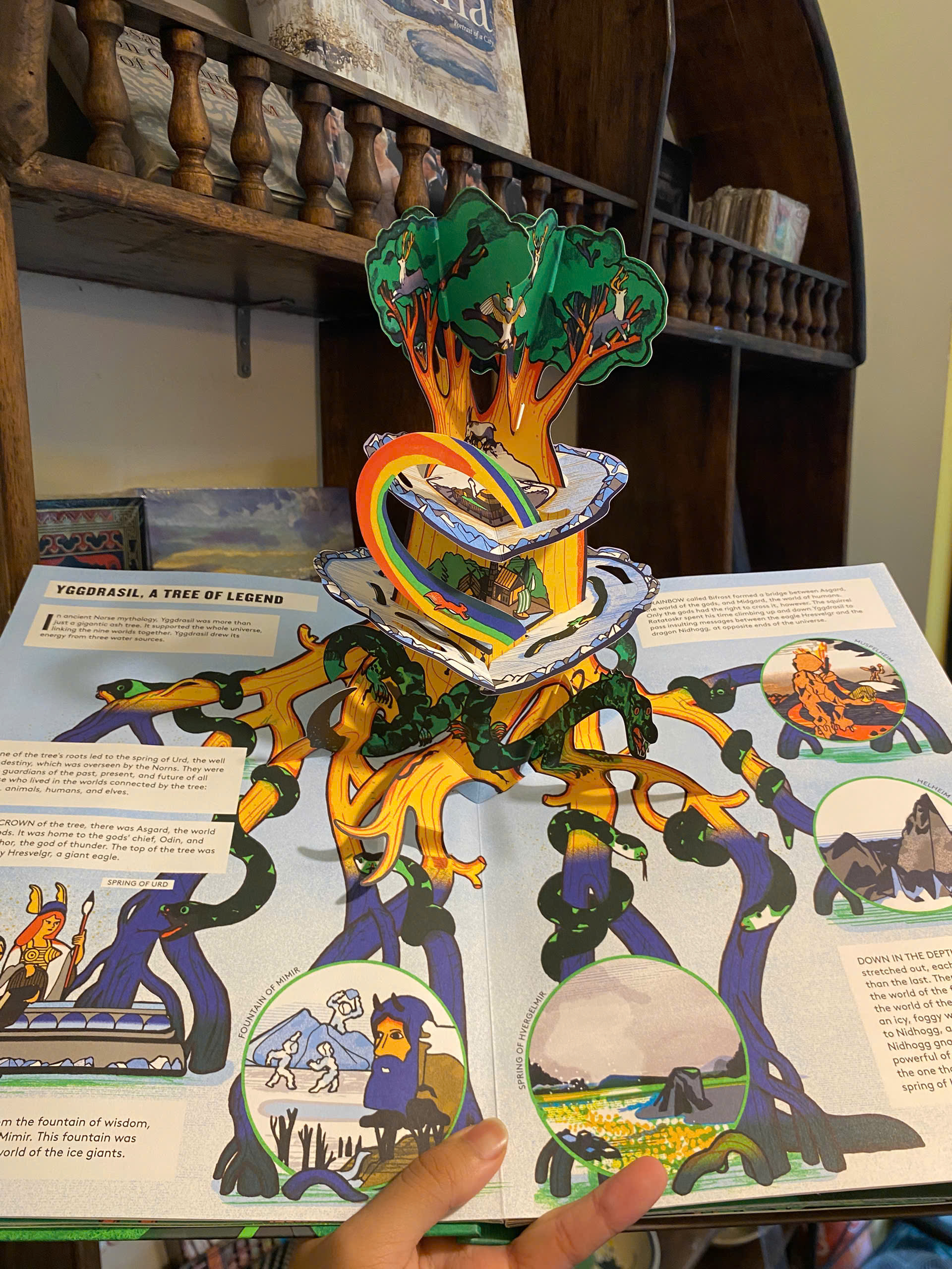 Sách - Pop-Up Forest by Tom Vaillant | Children Book in English / Ngoại văn Thiếu nhi Nhập khẩu