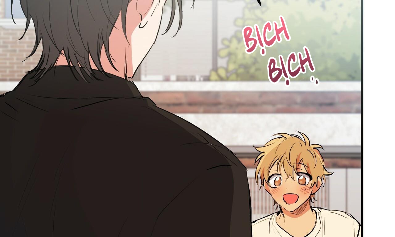 đàn thỏ của habibi chapter 44 257