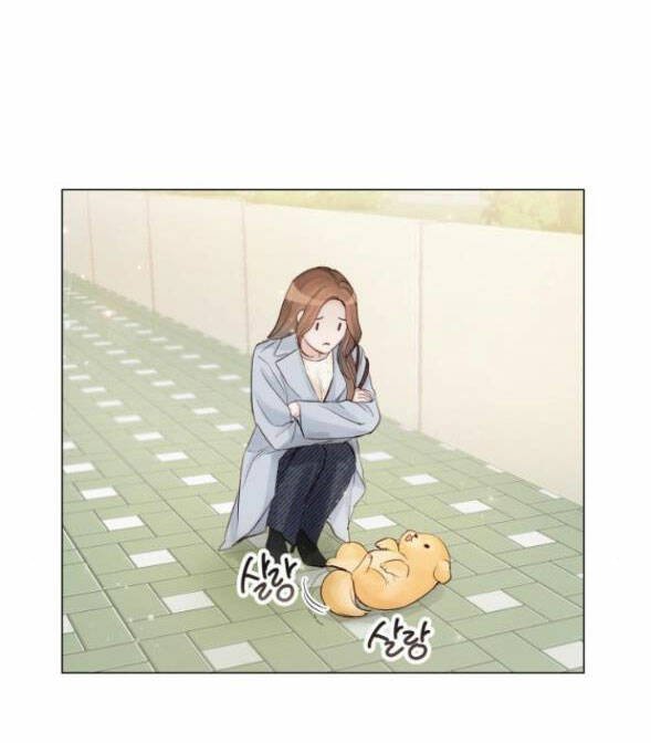 nhất định chúng ta sẽ được hạnh phúc chapter 79.1 18