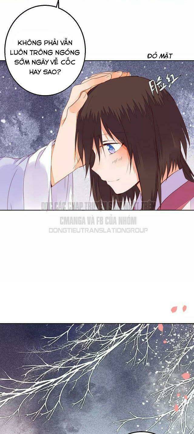 đốt đào hoa chapter 64 6