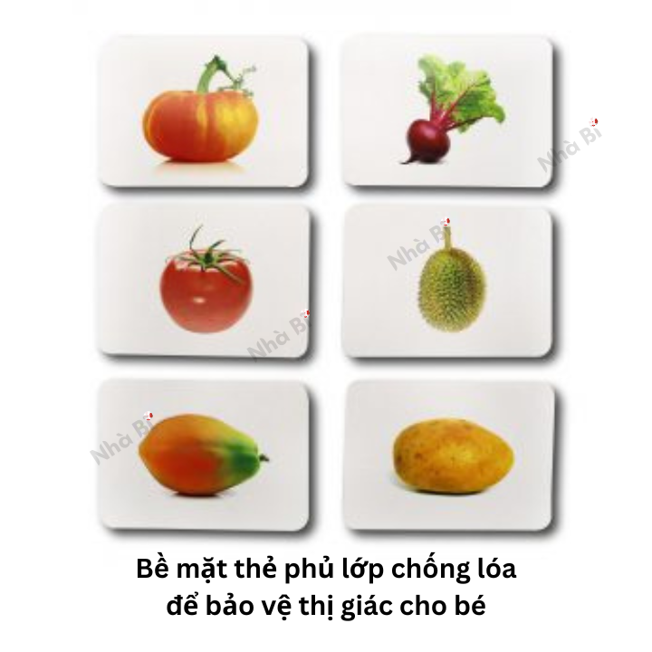 Flashcard - Bộ 100 Thẻ Dạy Trẻ Thế Giới Xung Quanh Theo Phương Pháp Glenn Doman - TN0005