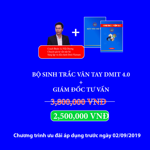 GIẢI MÃ SỨC MẠNH NÃO BỘ QUA SINH TRẮC VÂN TAY CAO CẤP DMIT