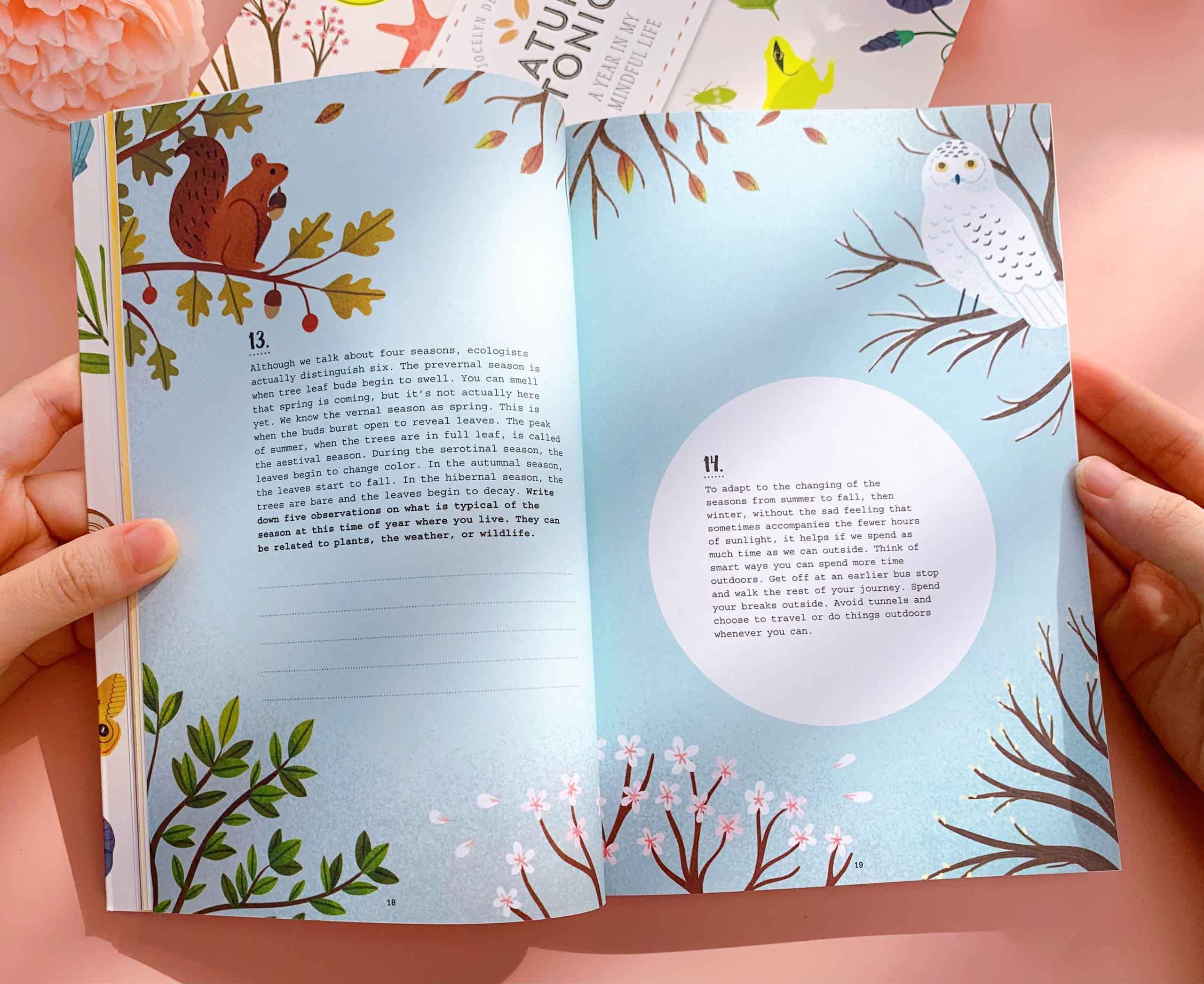 Nature Tonic: A Year in My Mindful Life