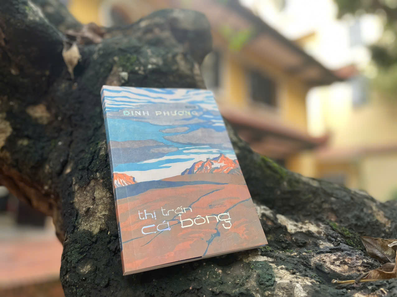 Thị Trấn Cá Bông