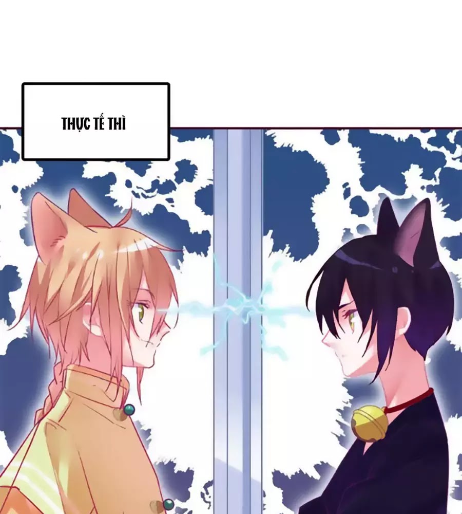 đừng nghịch, ta chỉ muốn yên tĩnh chapter 69 12