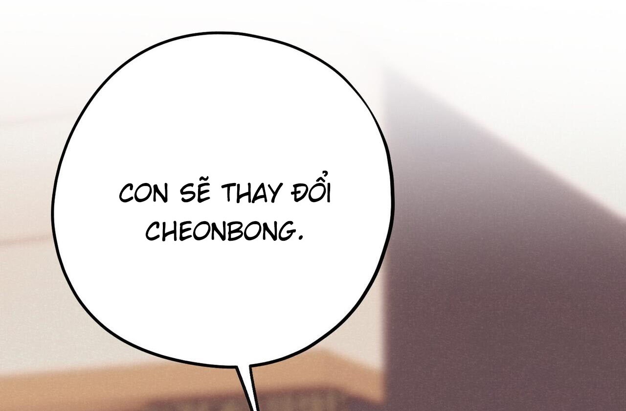 chàng dâu nhà họ kang chapter 42 151