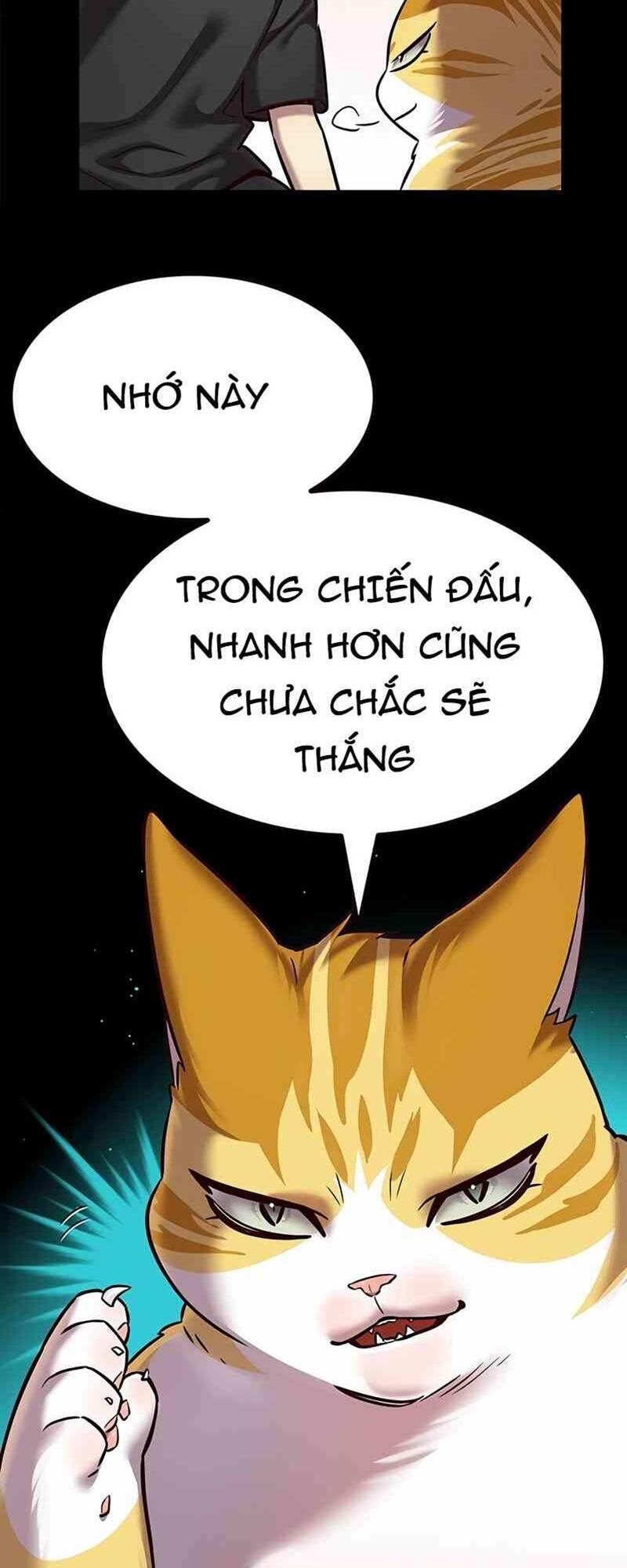 biến thân thành mèo chapter 244 19