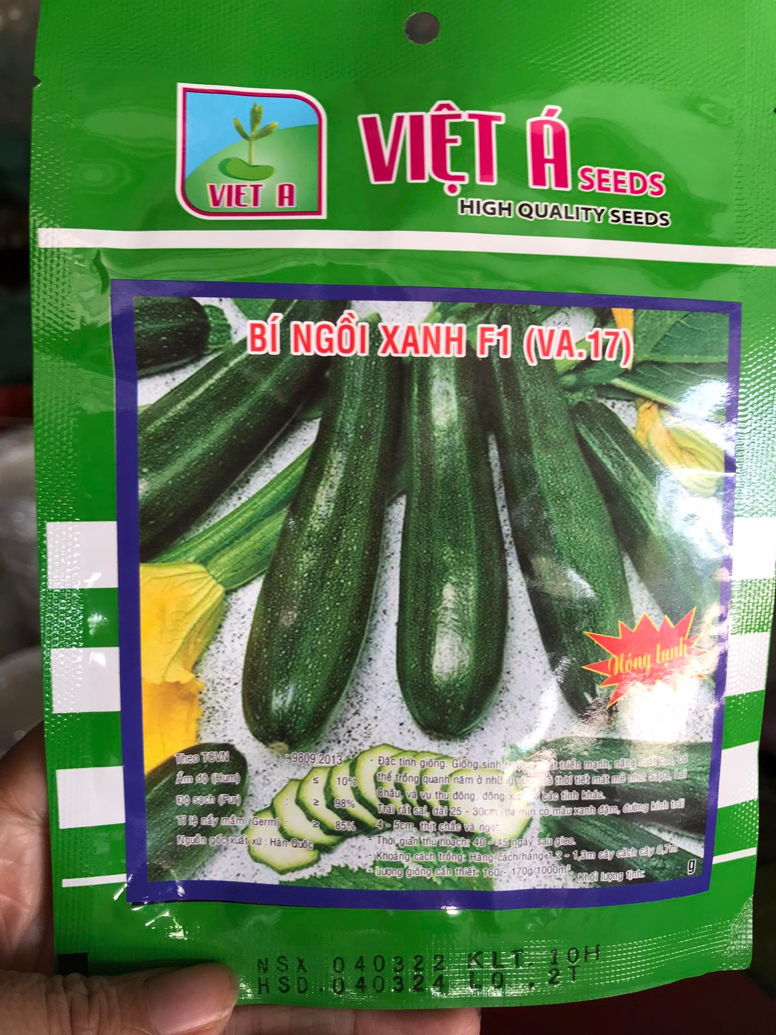 10 HẠT BÍ NGỒI XANH F1 CAO SẢN ĐẶC RUỘT NẢY MẦM TRÊN 90%