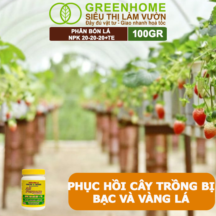 Phân Bón Lá Grow More NPK 20-20-20, GreenHome, Chai 100GR, To Củ, Lớn Trái, Chắc Hạt