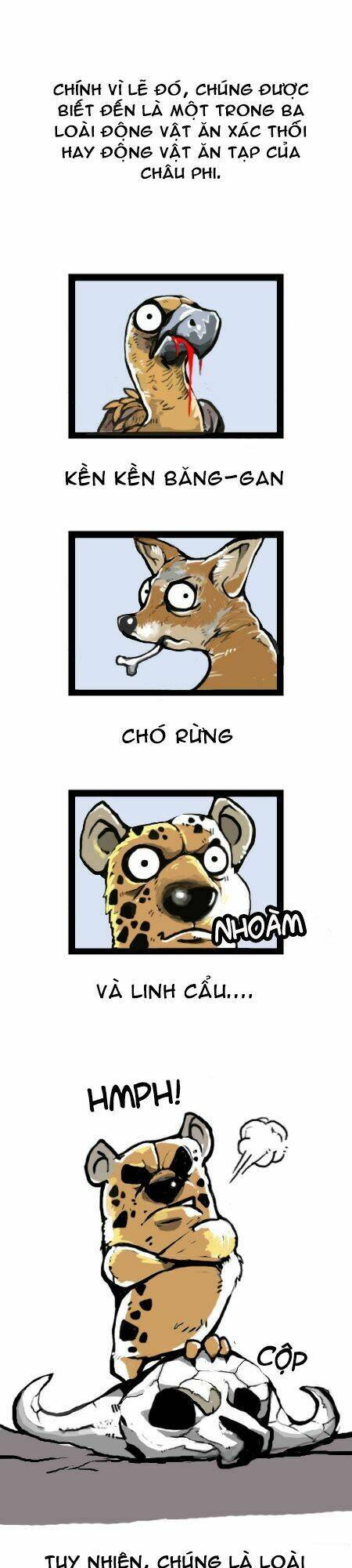 earth, human, and animal chapter 16 11