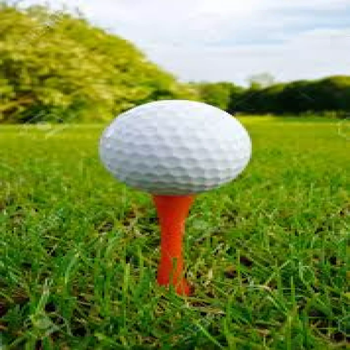 Gói 10 Tee Golf Các Loại- Chất Liệu Gỗ Nhựa Ngắn Dài