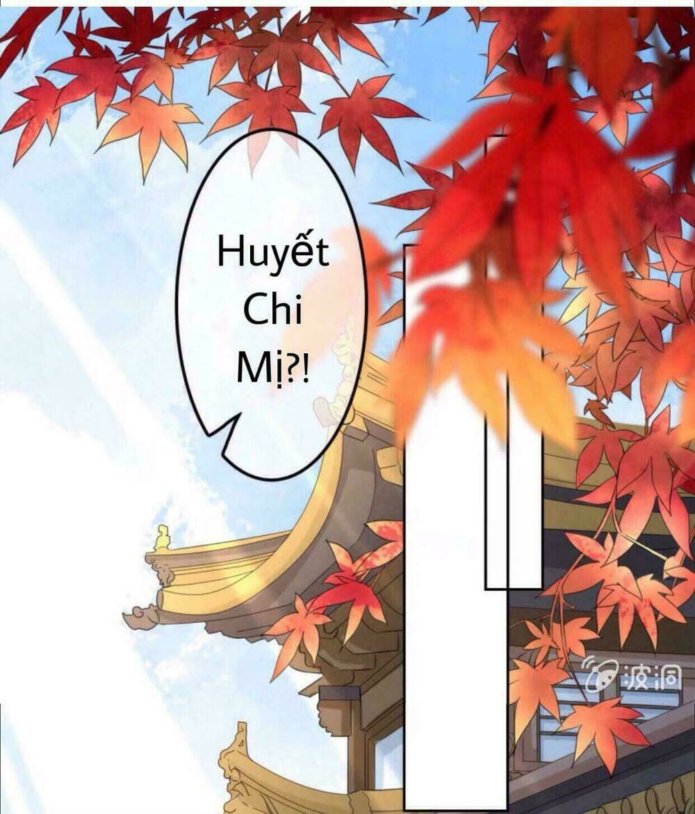 sủng phi của vương chapter 40 2