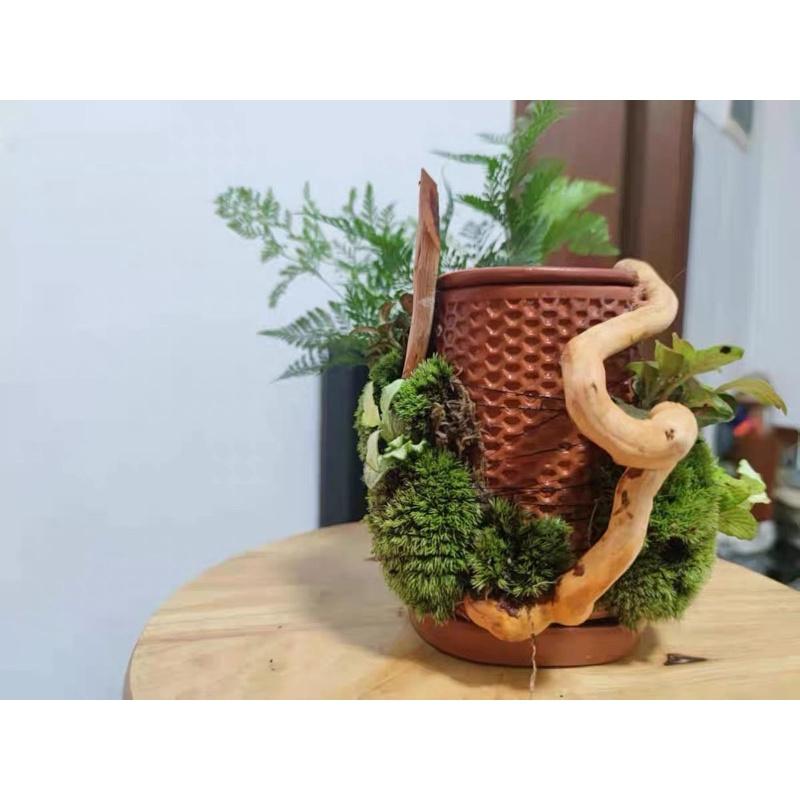Tháp cây đứng - Chậu Gốm Trồng Cây Nhỏ Sáng Tạo Trang Trí Nhà Cửa