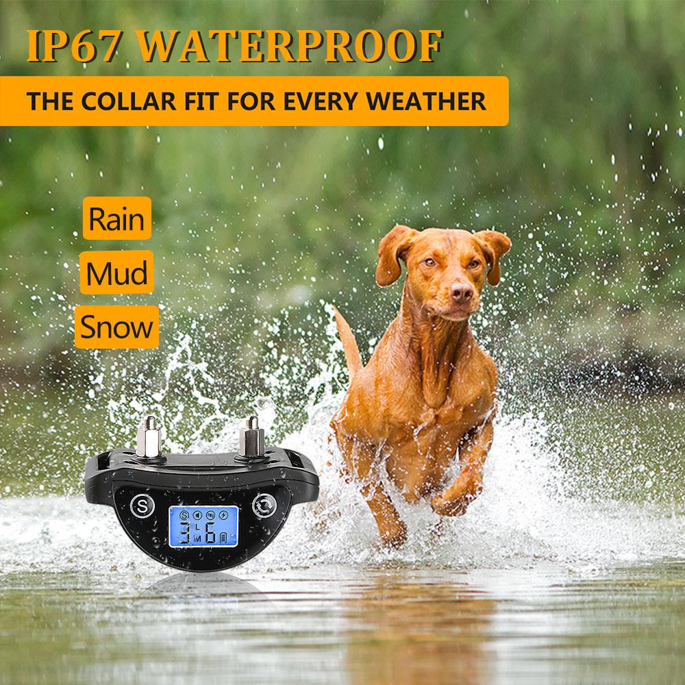 Vòng Huấn Luyện Chó Màn Hình Lcd