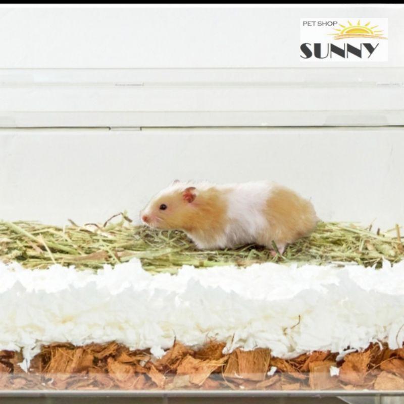 Cỏ khô mix hoa lót đệm chuồng, làm hang trú, tạo ổ hamster/sóc gói 100g