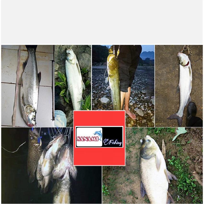 Mồi Thìa Lượn Spoon Sanami Fishing Store Chuyên Câu Cá Suối,Cá Mương,Câu Lure,Mồi Giả