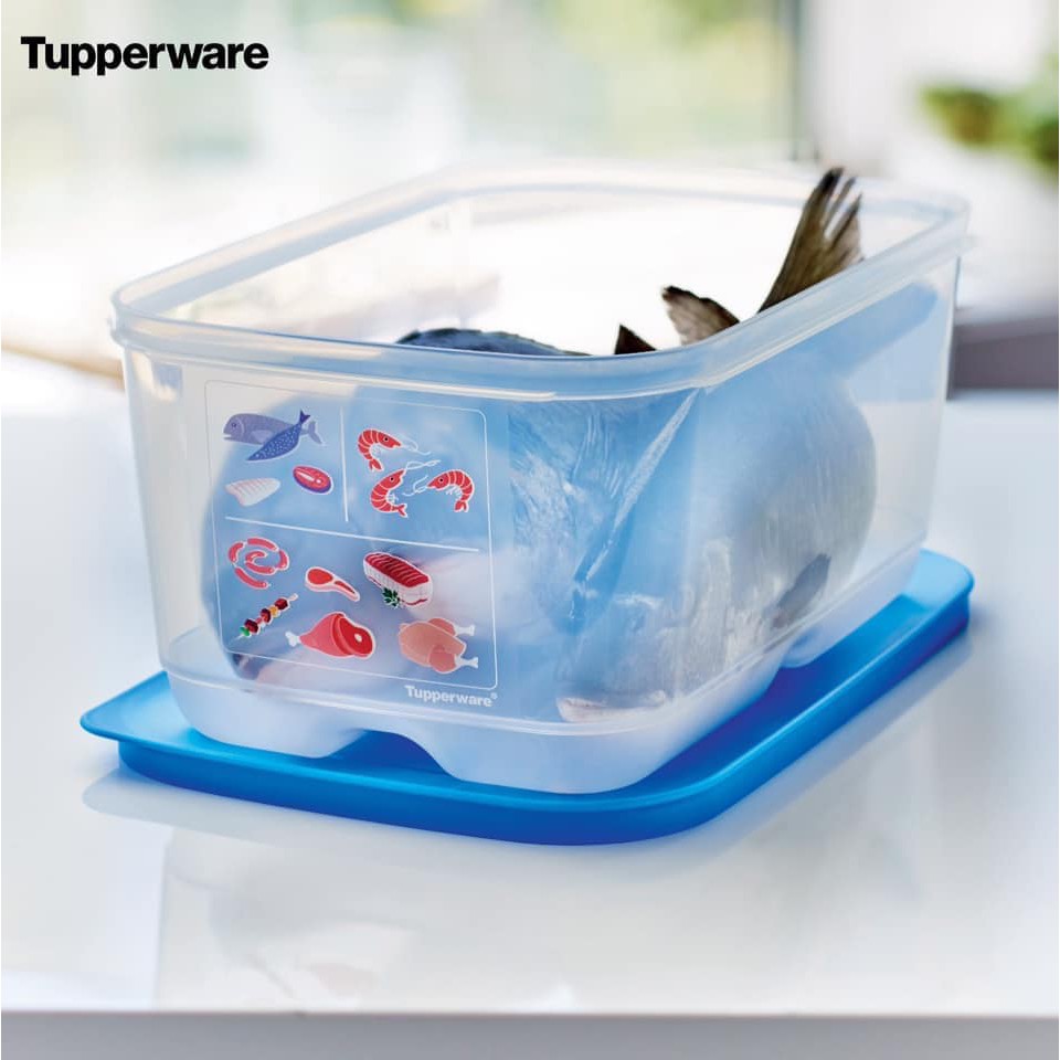 Bộ Hộp Tupperware Trữ Ngăn Đông Mềm Cool Mate