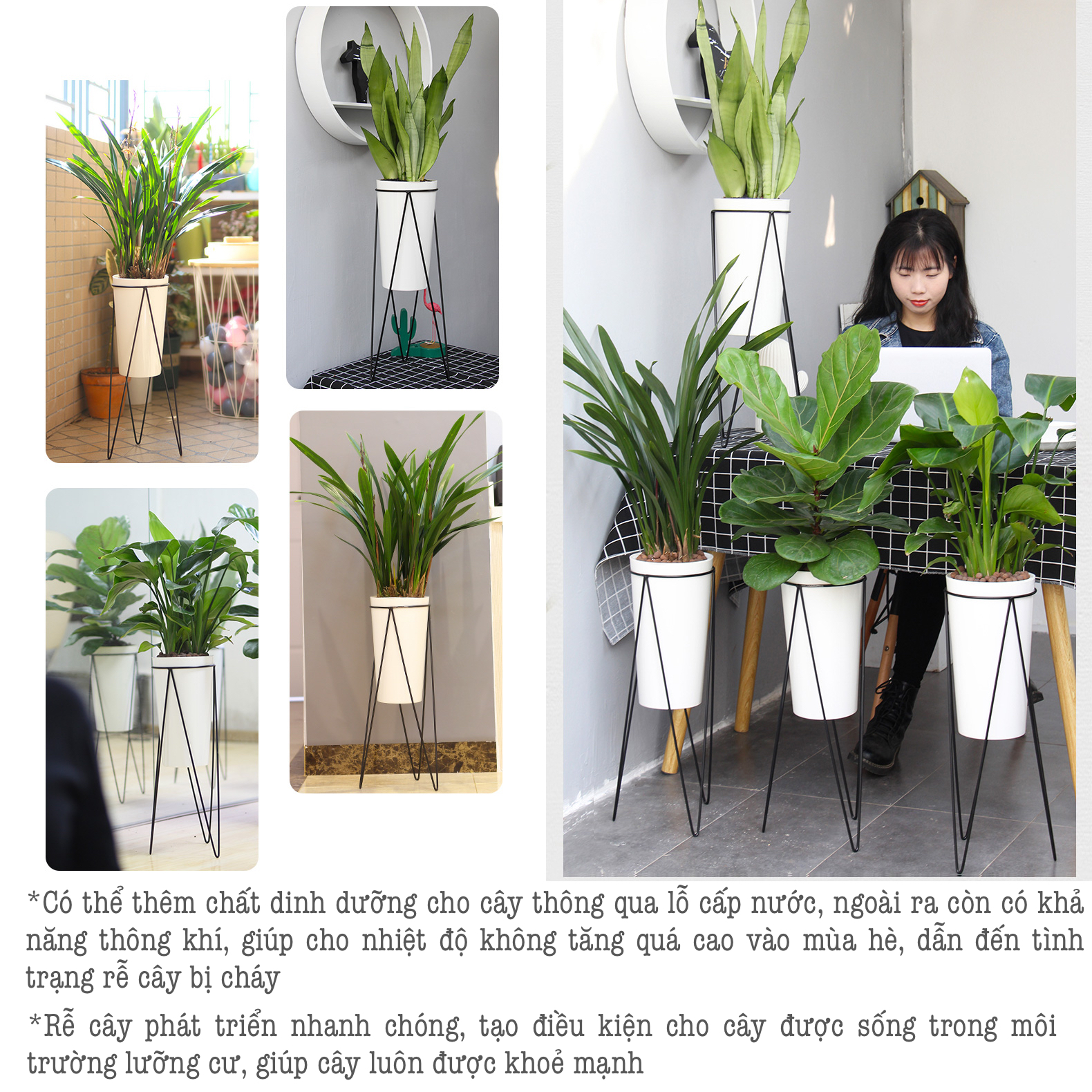 Chậu trồng cây Oliz A409. Chậu nhựa trồng cây tự dưỡng có giá chân bằng thép