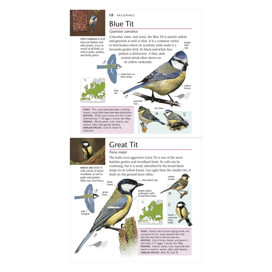 RSPB Pocket Birds Of Britain And Europe