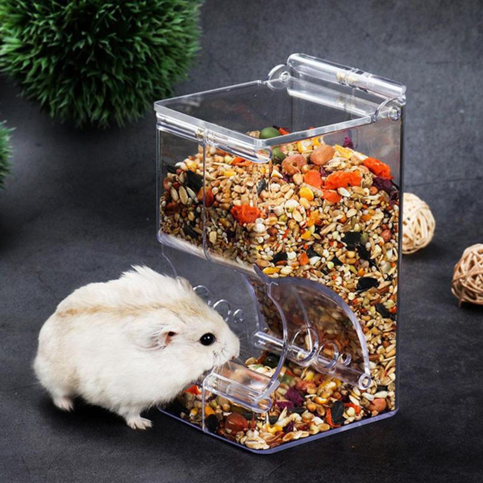 Máy phân phối nước & thức ăn cho Hamster Bird