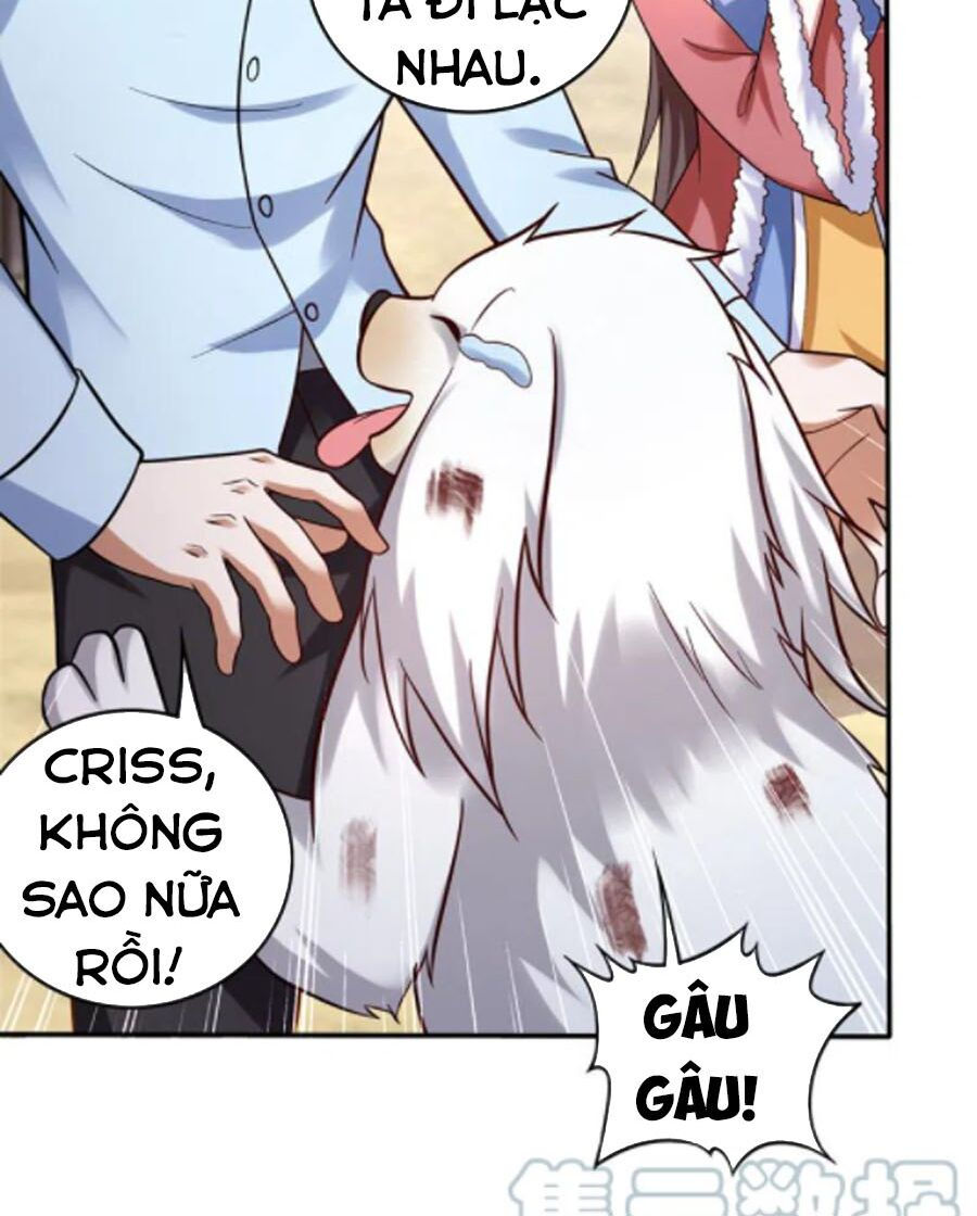 tối cường thần y tại đô thị chapter 244 8