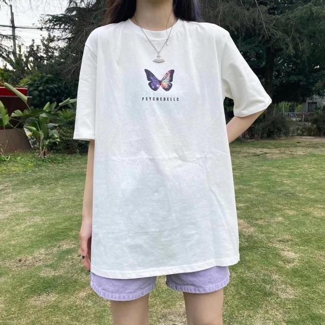SET BỘ ÁO THUN QUẦN KAKI