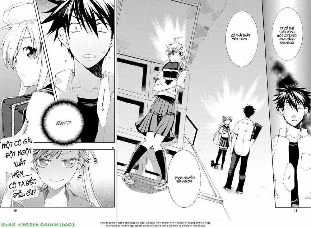 nyankoi! chapter 11 19