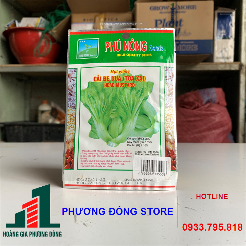 Combo 5-10 gói hạt giống cải bẹ dưa dễ trồng
