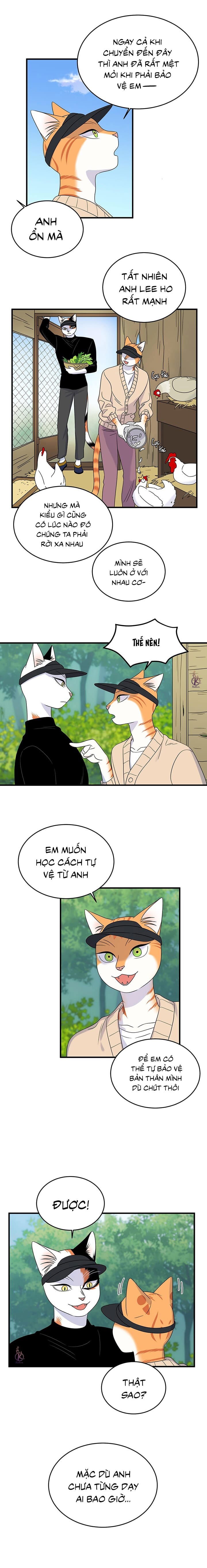 dự án xanh chapter 46 4