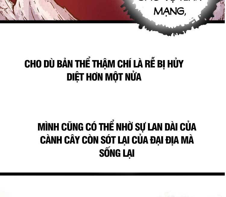 Chuyển Sinh Thành Liễu Đột Biến chapter 0 17