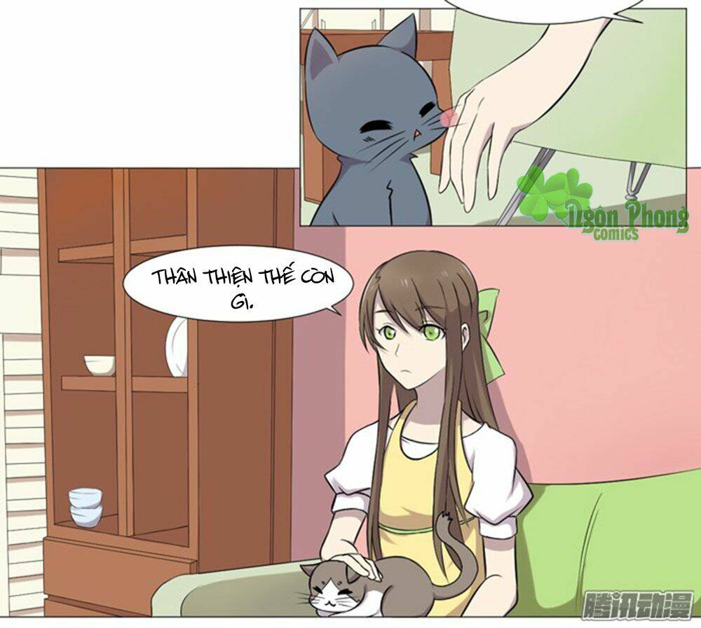 hai chú mèo totem chapter 36 8
