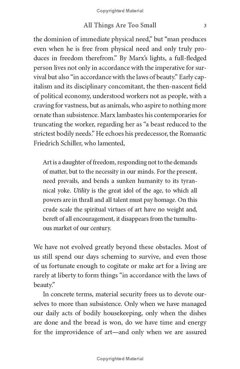 Sách ngoại văn: All Things Are Too Small - Essays In Praise Of Excess