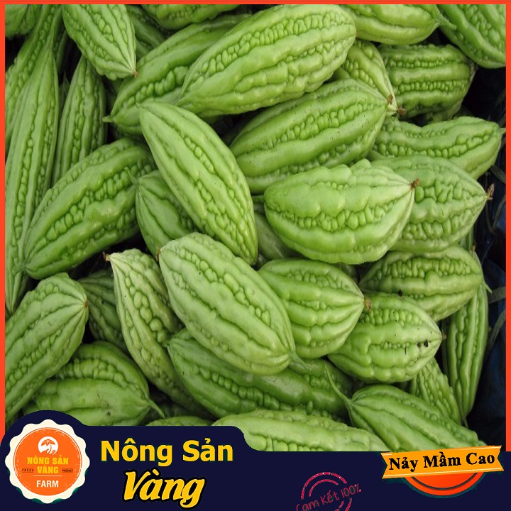 Hạt giống Khổ Qua F1 ( Gói 10 Hạt ) - Nông Sản Vàng