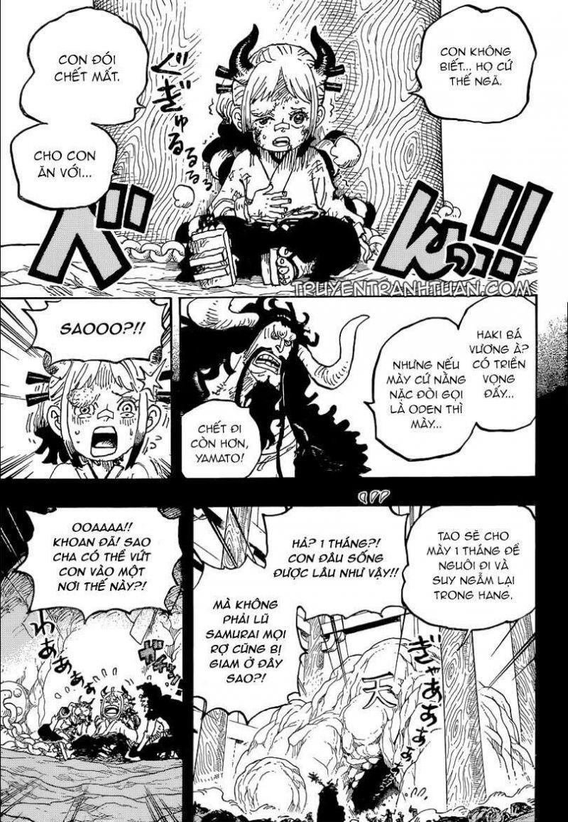đảo hải tặc - one piece chapter 1024 11